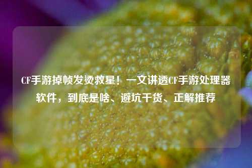 CF手游掉帧发烫救星！一文讲透CF手游处理器软件，到底是啥、避坑干货、正解推荐