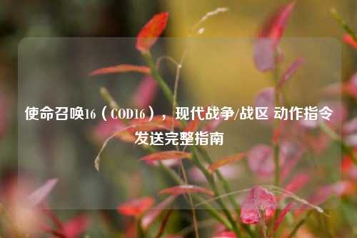 使命召唤16(COD16),现代战争/战区 动作指令发送完整指南