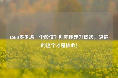 CSGO多少场一个段位?别死磕定升场次,隐藏的这个才是核心!