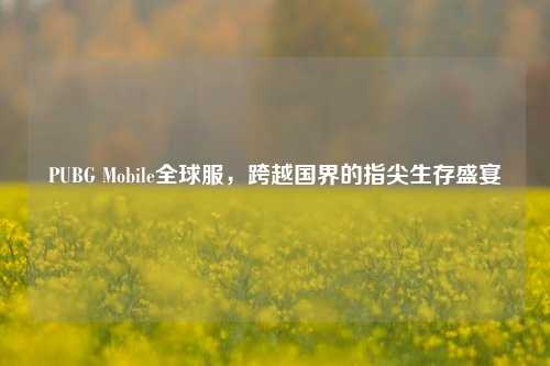 PUBG Mobile全球服,跨越国界的指尖生存盛宴