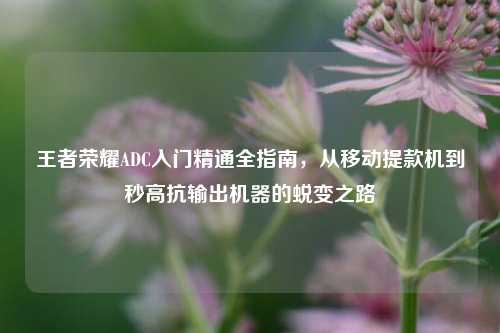 王者荣耀ADC入门精通全指南,从移动提款机到秒高抗输出机器的蜕变之路