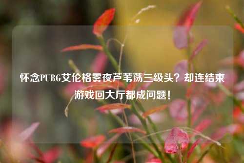 怀念PUBG艾伦格雾夜芦苇荡三级头？却连结束游戏回大厅都成问题！