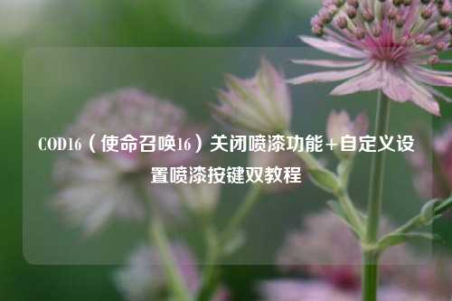 COD16(使命召唤16)关闭喷漆功能+自定义设置喷漆按键双教程