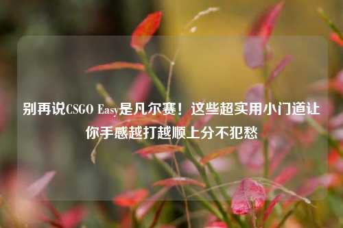 别再说CSGO Easy是凡尔赛！这些超实用小门道让你手感越打越顺上分不犯愁