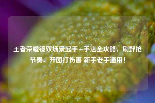 王者荣耀镜双场景起手+手法全攻略,刷野抢节奏、开团打伤害 新手老手通用!