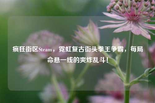 疯狂街区Steam，霓虹复古街头拳王争霸，每局命悬一线的爽炸乱斗！