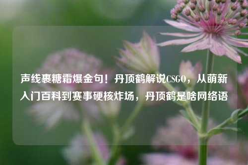 声线裹糖霜爆金句！丹顶鹤解说CSGO，从萌新入门百科到赛事硬核炸场，丹顶鹤是啥网络语