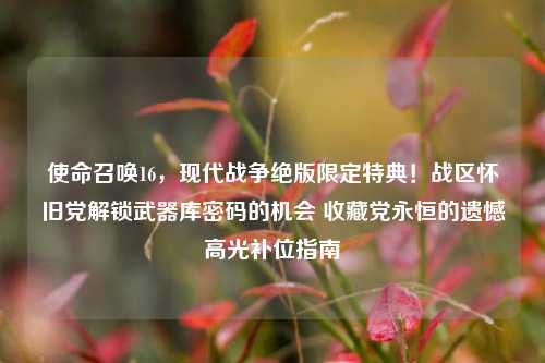 使命召唤16，现代战争绝版限定特典！战区怀旧党解锁武器库密码的机会 收藏党永恒的遗憾高光补位指南