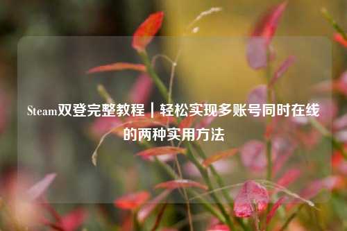 Steam双登完整教程|轻松实现多账号同时在线的两种实用方法