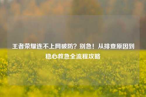 王者荣耀连不上网破防?别急!从排查原因到稳心救急全流程攻略