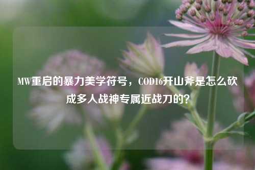 MW重启的暴力美学符号,COD16开山斧是怎么砍成多人战神专属近战刀的?
