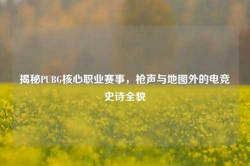 揭秘PUBG核心职业赛事,枪声与地图外的电竞史诗全貌