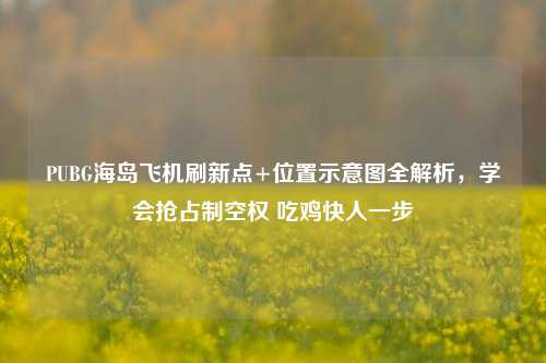 PUBG海岛飞机刷新点+位置示意图全解析,学会抢占制空权 吃鸡快人一步