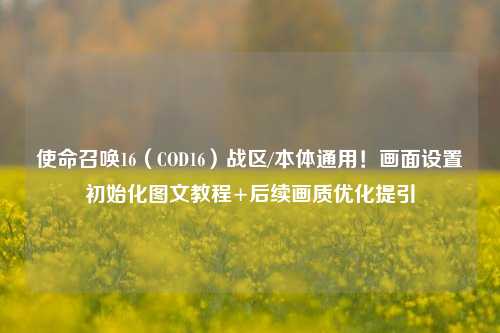 使命召唤16(COD16)战区/本体通用!画面设置初始化图文教程+后续画质优化提引