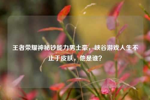 王者荣耀神秘钞能力男土豪,峡谷游戏人生不止于皮肤,他是谁?