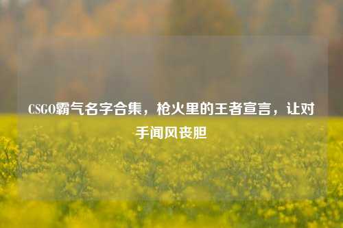 CSGO霸气名字合集,枪火里的王者宣言,让对手闻风丧胆