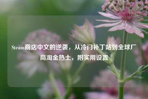 Steam商店中文的逆袭，从冷门补丁站到全球厂商淘金热土，附实用设置