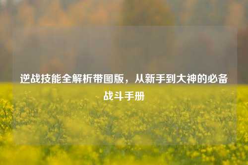 逆战技能全解析带图版,从新手到大神的必备战斗手册