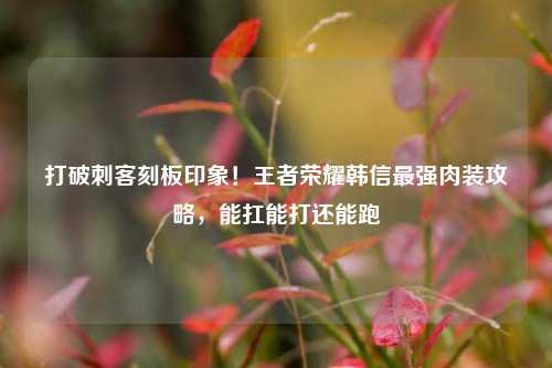 打破刺客刻板印象!王者荣耀韩信最强肉装攻略,能扛能打还能跑