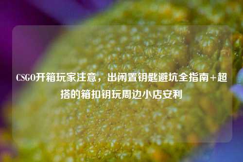 CSGO开箱玩家注意，出闲置钥匙避坑全指南+超搭的箱扣钥玩周边小店安利