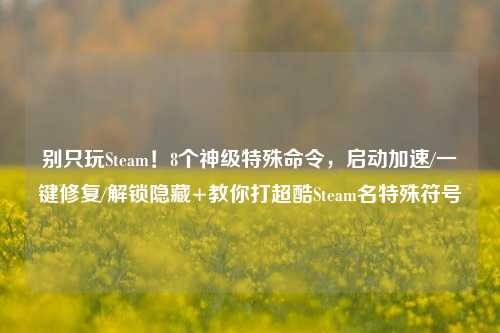 别只玩Steam!8个神级特殊命令,启动加速/一键修复/解锁隐藏+教你打超酷Steam名特殊符号