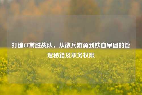 打造CF常胜战队,从散兵游勇到铁血军团的管理秘籍及职务权限