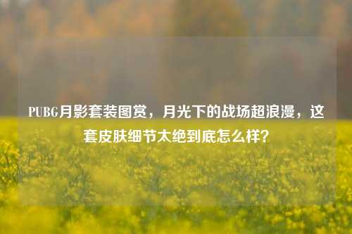 PUBG月影套装图赏，月光下的战场超浪漫，这套皮肤细节太绝到底怎么样？