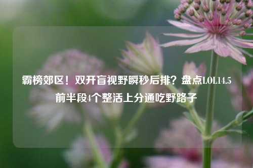 霸榜郊区!双开盲视野瞬秒后排?盘点LOL14.5前半段4个整活上分通吃野路子