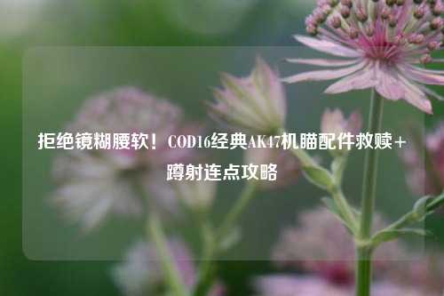 拒绝镜糊腰软!COD16经典AK47机瞄配件救赎+蹲射连点攻略