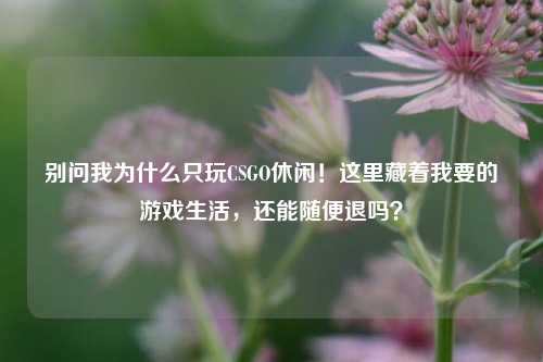 别问我为什么只玩CSGO休闲！这里藏着我要的游戏生活，还能随便退吗？