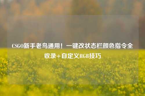 CSGO新手老鸟通用!一键改状态栏颜色指令全收录+自定义RGB技巧