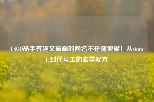 CSGO高手有趣又高端的网名不是随便敲!从simple到代号王的玄学配方