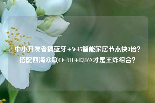中小开发者搞蓝牙+WiFi智能家居节点快3倍?搭配四海众联CF-811+E316N才是王炸组合?