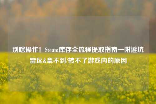 别瞎操作!Steam库存全流程提取指南—附避坑雷区&拿不到/转不了游戏内的原因