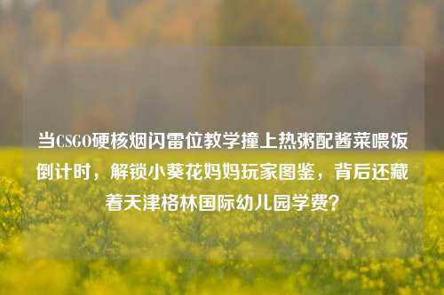 当CSGO硬核烟闪雷位教学撞上热粥配酱菜喂饭倒计时，解锁小葵花妈妈玩家图鉴，背后还藏着天津格林国际幼儿园学费？