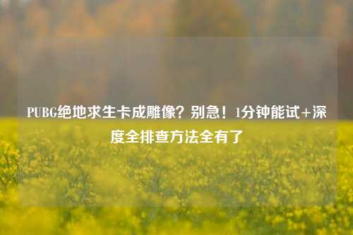 PUBG绝地求生卡成雕像?别急!1分钟能试+深度全排查方法全有了