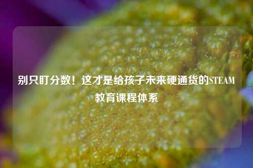 别只盯分数!这才是给孩子未来硬通货的STEAM教育课程体系
