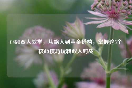 CSGO双人教学，从路人到黄金搭档，掌握这5个核心技巧玩转双人对战