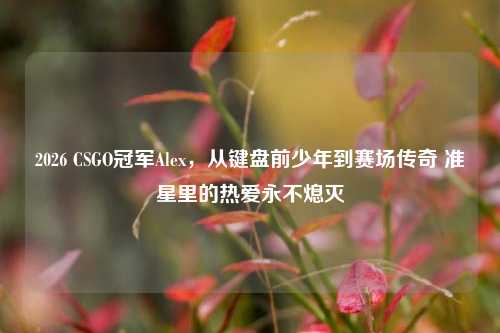 2026 CSGO冠军Alex,从键盘前少年到赛场传奇 准星里的热爱永不熄灭