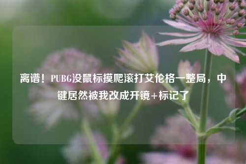 离谱!PUBG没鼠标摸爬滚打艾伦格一整局,中键居然被我改成开镜+标记了