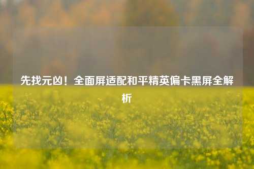 先找元凶！全面屏适配和平精英偏卡黑屏全解析