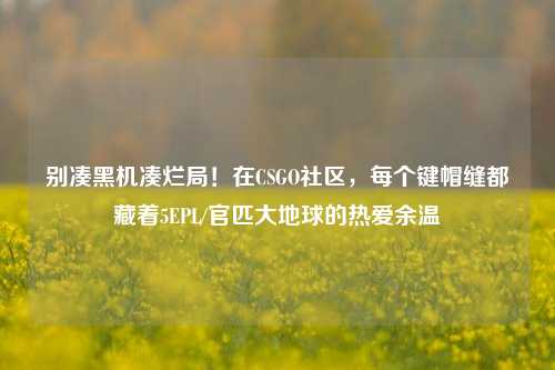 别凑黑机凑烂局!在CSGO社区,每个键帽缝都藏着5EPL/官匹大地球的热爱余温