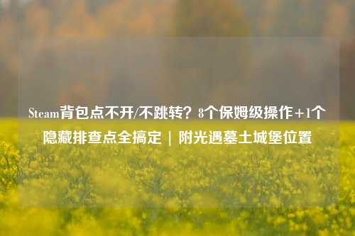 Steam背包点不开/不跳转?8个保姆级操作+1个隐藏排查点全搞定 | 附光遇墓土城堡位置