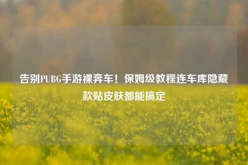告别PUBG手游裸奔车!保姆级教程连车库隐藏款贴皮肤都能搞定