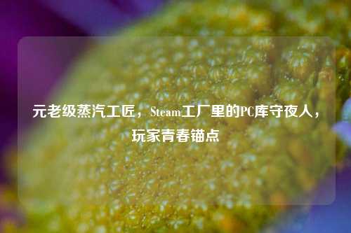 元老级蒸汽工匠,Steam工厂里的PC库守夜人,玩家青春锚点