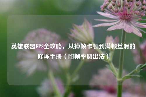 英雄联盟FPS全攻略,从掉帧卡顿到满帧丝滑的修炼手册(附帧率调出法)