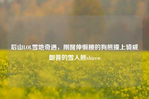 后山LOL雪地奇遇,刚醒伸懒腰的狗熊撞上骑威朗普的雪人熊xhiren