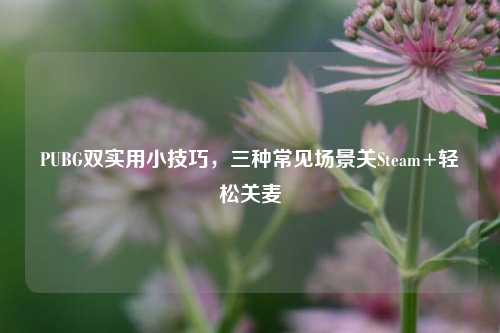 PUBG双实用小技巧,三种常见场景关Steam+轻松关麦