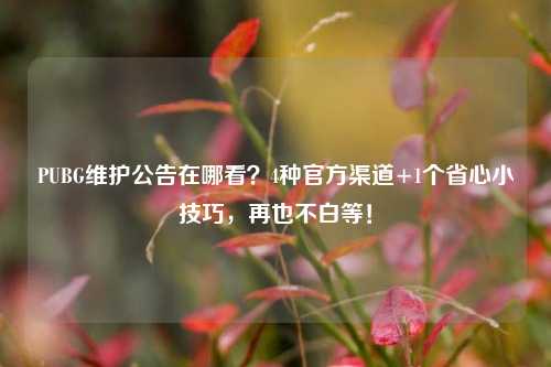 PUBG维护公告在哪看？4种官方渠道+1个省心小技巧，再也不白等！
