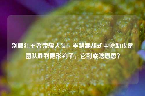 别眼红王者荣耀人头！半路截胡式中途助攻是团队胜利隐形钩子，它到底啥意思？